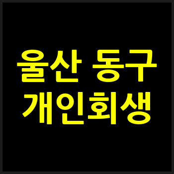 울산 동구 개인회생