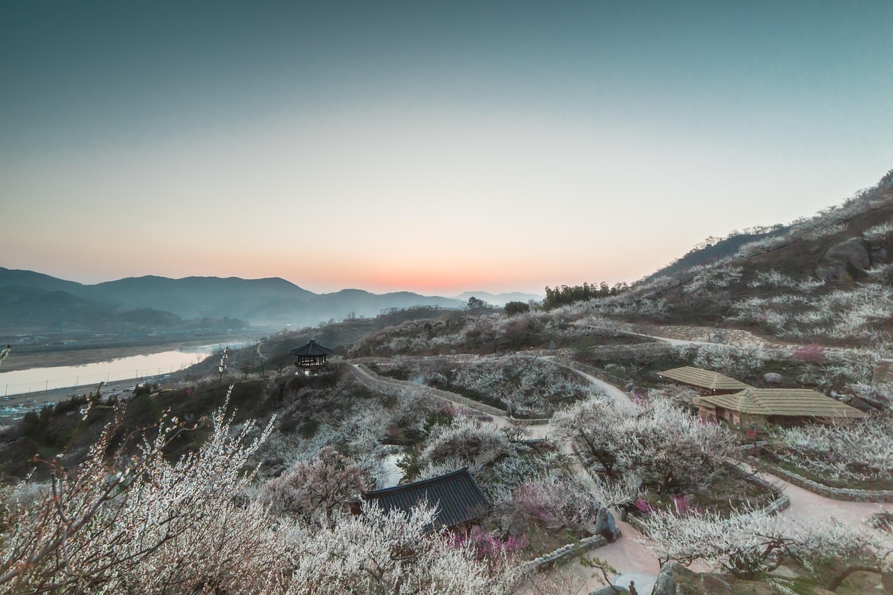 광양 개인파산 변호사