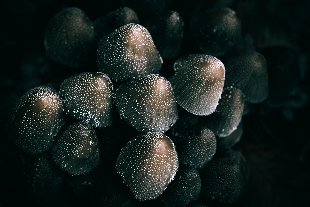 개인파산 후 재산취득